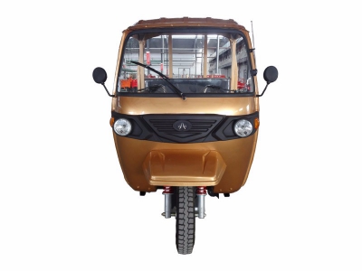 ZONLON Tricycle ZL200ZH-BT