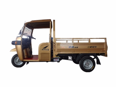ZONLON Tricycle ZL200ZH-BT