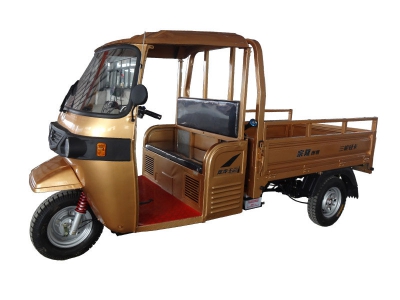ZONLON Tricycle ZL200ZH-BT