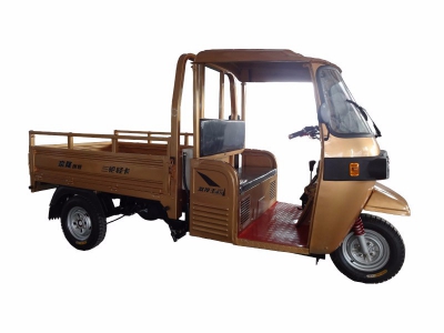 ZONLON Tricycle ZL200ZH-BT