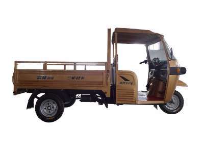 ZONLON Tricycle ZL200ZH-BT